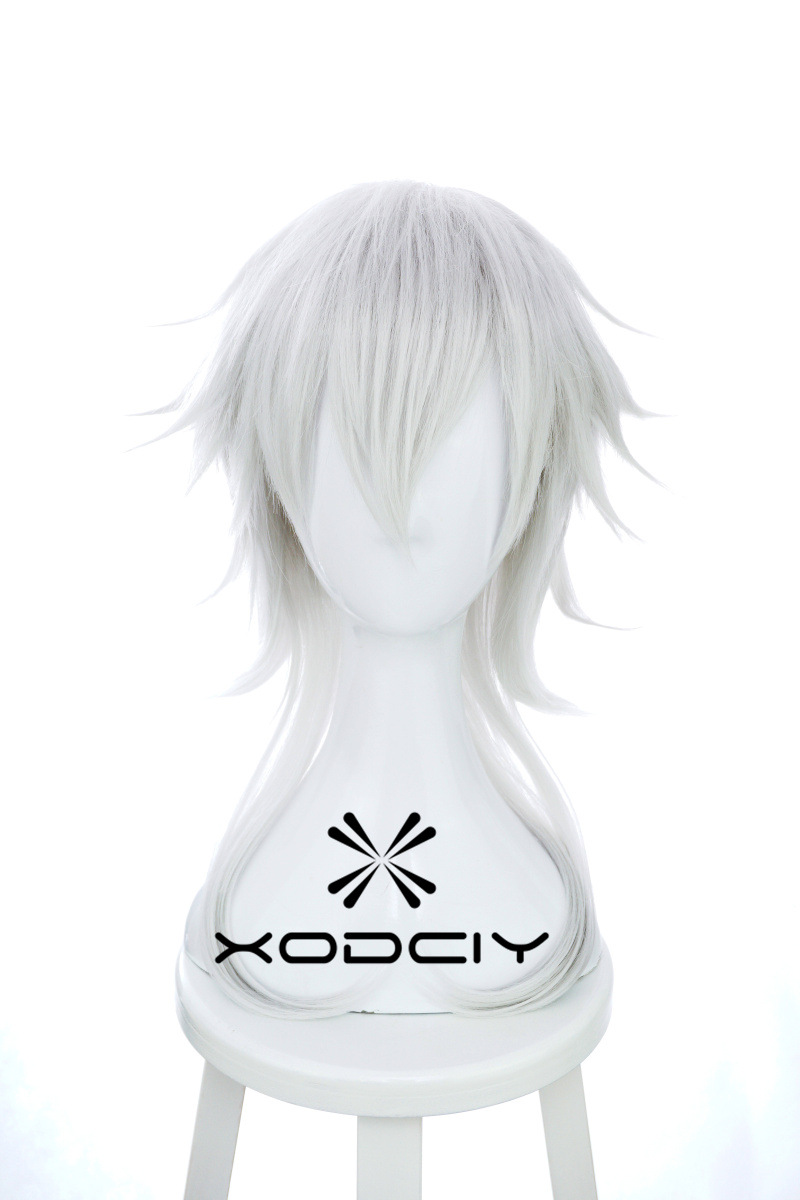 Nuova parrucca per cosplay di  - Men Accessories Online recensione e prezzo