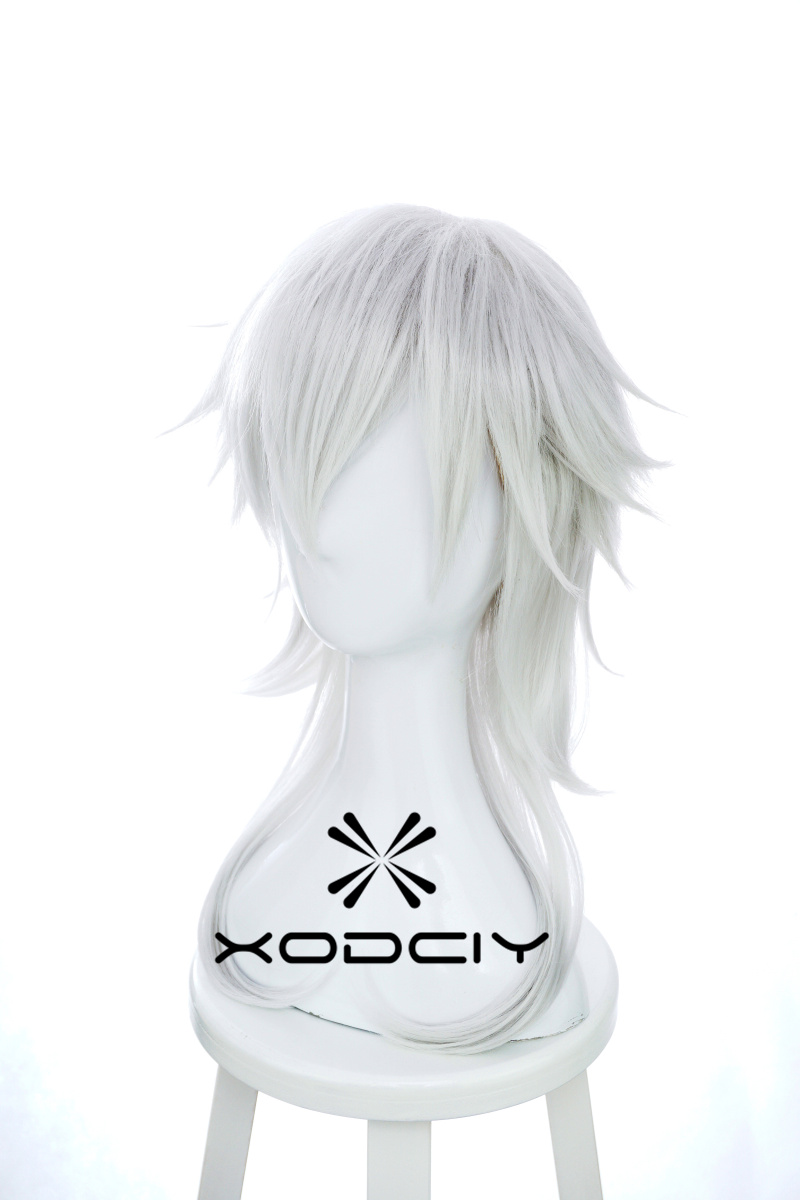 Nuova parrucca per cosplay di  - Men Accessories Online recensione e prezzo