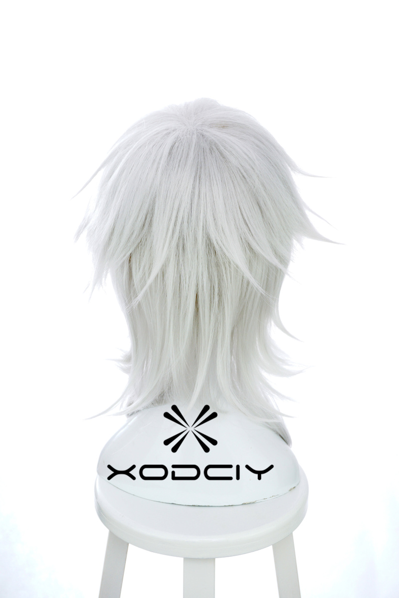 Nuova parrucca per cosplay di  - Men Accessories Online recensione e prezzo